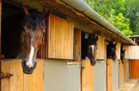 free Dadlington stable construction quotes